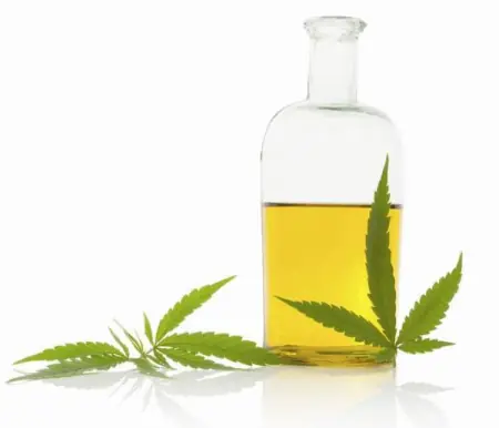网传大麻油能治帕金森，这可能不是谣言